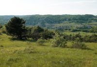 К 92-летию Кира Булычева: крымские страницы биографии фантаста