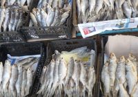 К Новому году красная икра в Крыму может подорожать до 40 тысяч рублей
